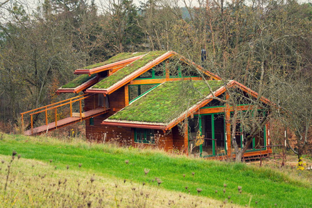 木质房屋，有广泛的绿色生态生活草皮屋顶，覆盖植被，主要是SedumSexangulare，也被称为无味匍匐植物