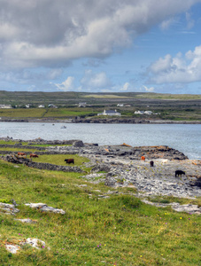 伊尼什莫尔在奥兰群岛爱尔兰。