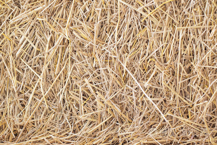 干秸秆背景或纹理