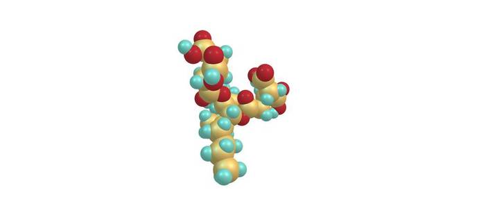 马分子结构在白色分离