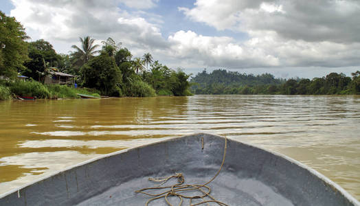 Kinabatangan 河的生活