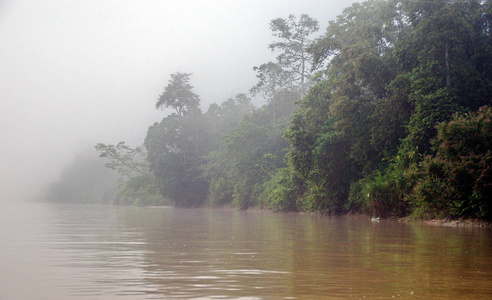 马来西亚婆罗洲基纳巴坦干河