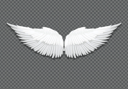 白色天使的翅膀图片-白色天使的翅膀素材-白色天使的翅膀插画-摄图新