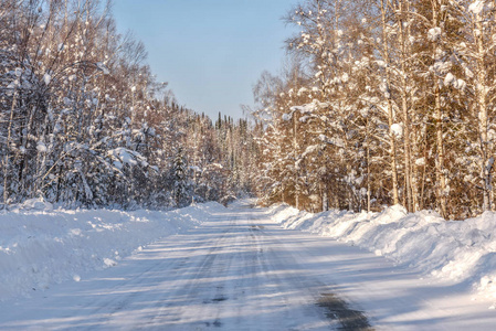 公路森林雪冬树白雪皑皑