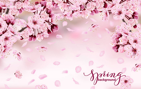美丽的水平横幅与开花的黑暗和淡粉红色的樱花花。春天的背景。邀请卡birthdaycard横幅美女背景矢量插图模板