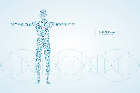 抽象人体与 Dna 分子。医学 科学和技术的概念。矢量图