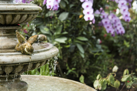 热带植物美化喷泉装饰