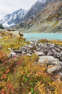 Kuiguk 湖阿尔泰山脉的山峰。秋天风景