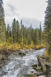 Multa 河阿尔泰山秋季景观