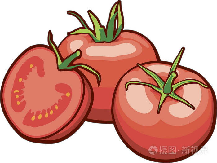 白色背景矢量西红柿