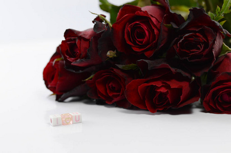 情人节概念, 白色背景红玫瑰