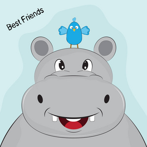 最好的动物野生动物园可爱的卡通头河马与小鸟照片