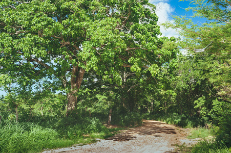 穿越森林和丘陵的道路，背景是多云的天空