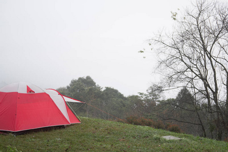 雾雾中的旅游帐篷。在森林里露营。旅游度假