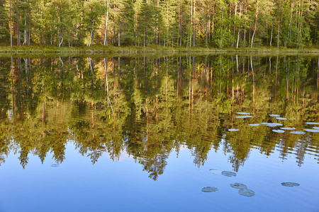 日落时的芬兰湖泊和森林景观