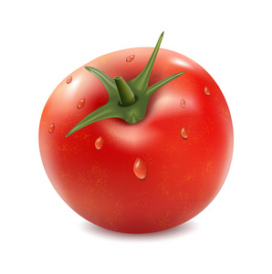 番茄在白色背景上孤立