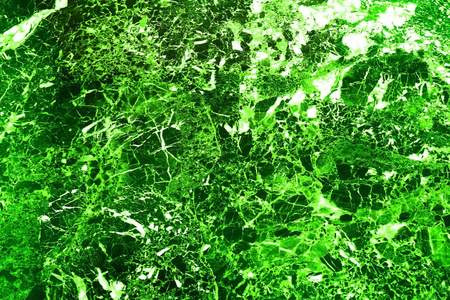 抽象森林郁郁葱葱的绿色