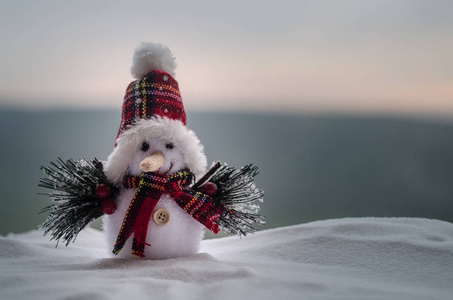 在雪上的圣诞树新年圣诞节的概念.雪人站在雪上, 有着模糊的自然背景.