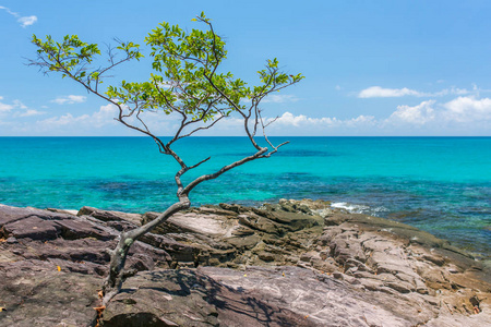 泰国KohKood岛美丽的岩石海岸