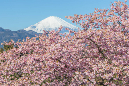 川祖沙卡拉和富士山春季