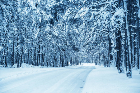 冬天下雪路