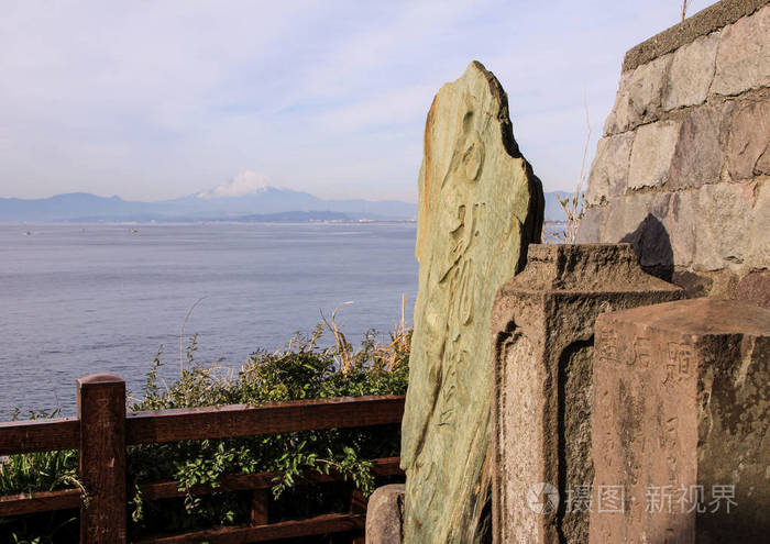 景观与太平洋植物和藤山背景. 日本的性质.