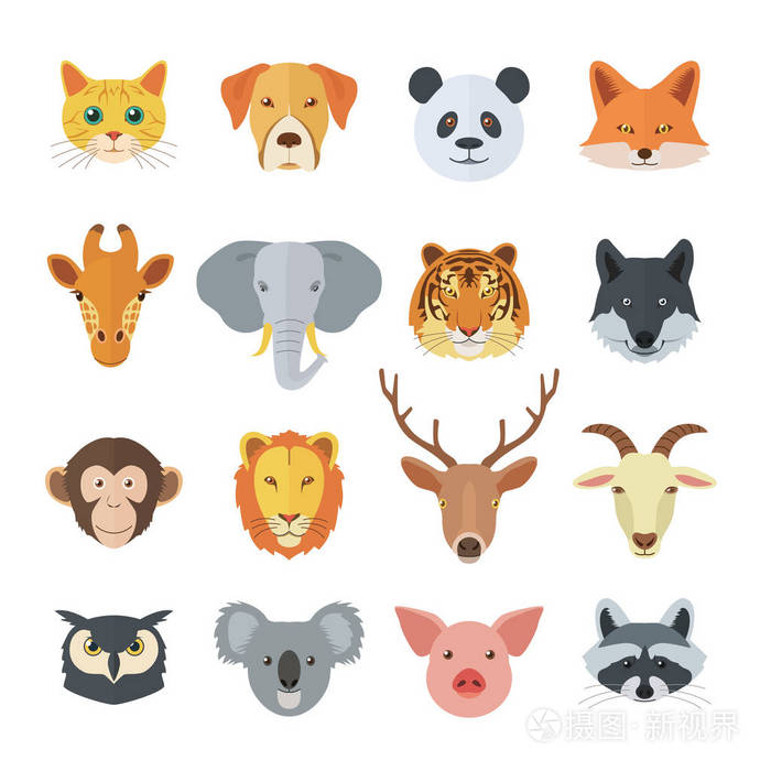 一组动物的脸
