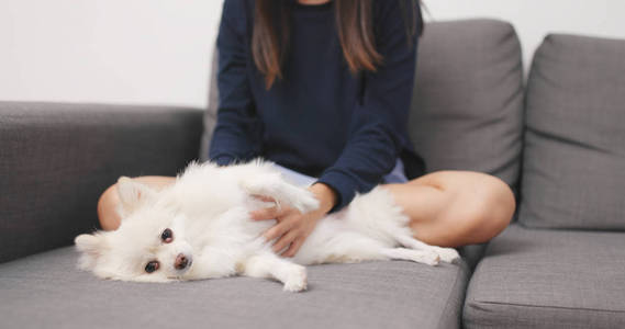 女人摸美拉尼亚狗