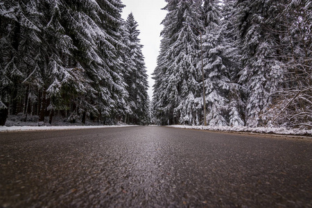 雪的景观和可爱的毛茸茸的白雪。 满是雪的树。 一个白色的雪山童话。 下雪的路。