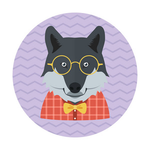 野生动物园领结戴眼镜,戴领带的时髦狼照片