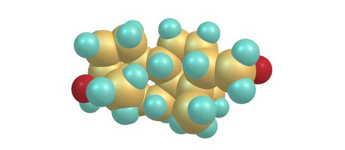 睾分子结构在白色分离