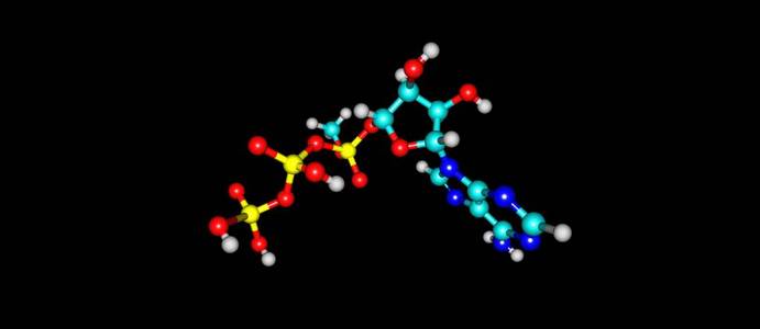 三磷酸腺苷分子结构在黑色上分离