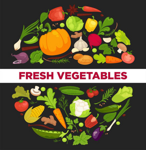 蔬菜健康食品海报有机蔬菜新鲜健康卷心菜和素食。 莴苣蔬菜香料香草番茄花椰菜豌豆甜菜和胡椒
