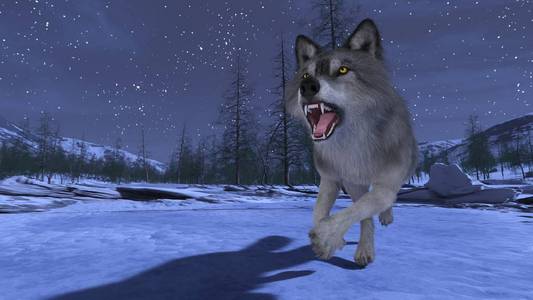 狼的三维CG渲染。