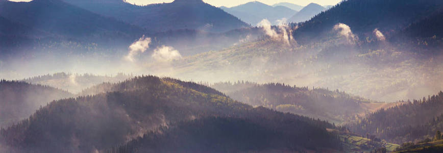 春天山全景。山上有雾的森林