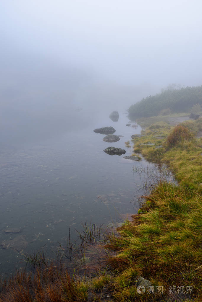 在斯洛伐克塔特拉潮湿山区的薄雾早晨视图蔓