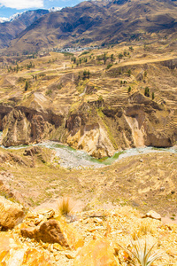 科尔卡大峡谷 秘鲁，南美洲。印加人建造梯田与池塘和悬崖。在世界最深的峡谷之一