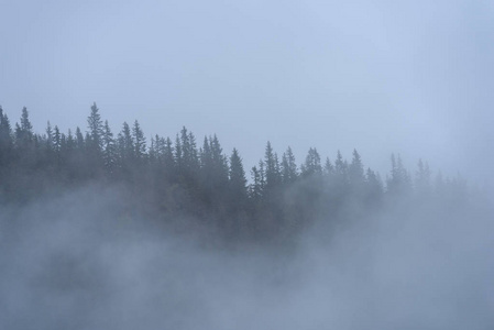 在斯洛伐克 tatra 潮湿山区的晨雾。autu