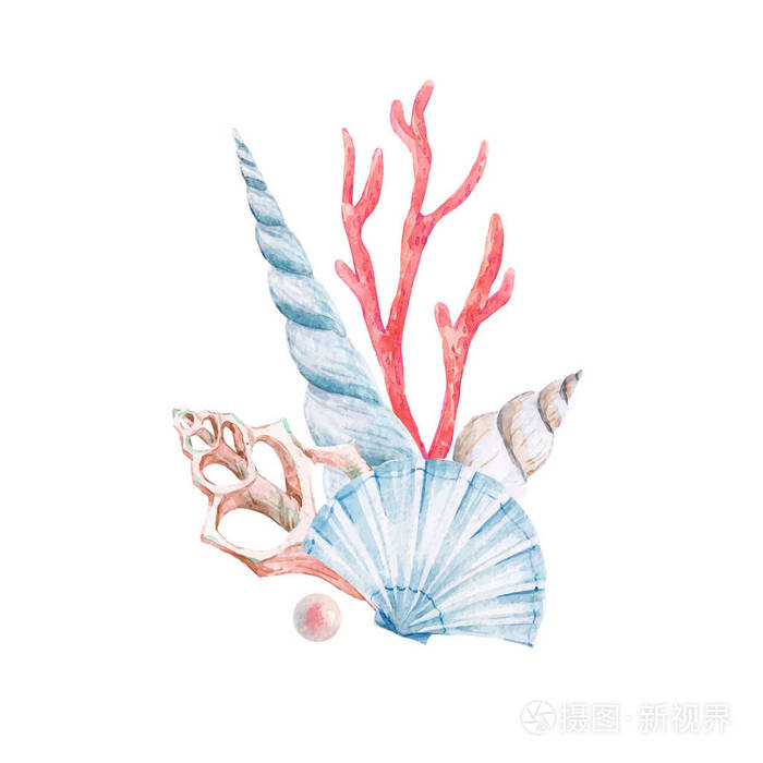 水彩珊瑚矢量组合插画-正版商用图片10mngw-摄图新视界