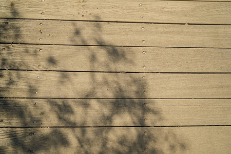 在阳光明媚的日子里, 橄榄树树枝阴影在浅棕色木板上的软抽象自然图案, 五片纹理表面的人行道背景