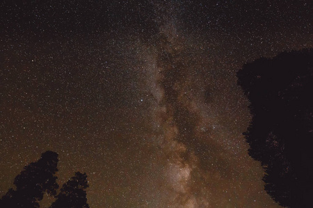 有银河系和山上一些树木的夜景