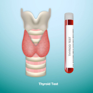 甲状腺试验用血试管和健康的甲状腺。内分泌系统或荷尔蒙分泌。矢量插图