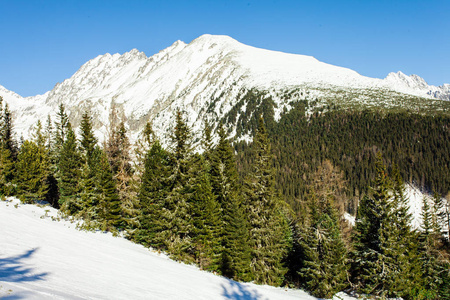 滑雪斜坡 la