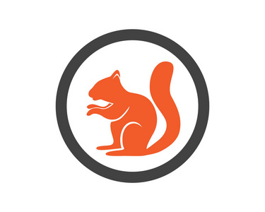 松鼠动物标志和符号模板图标应用程序