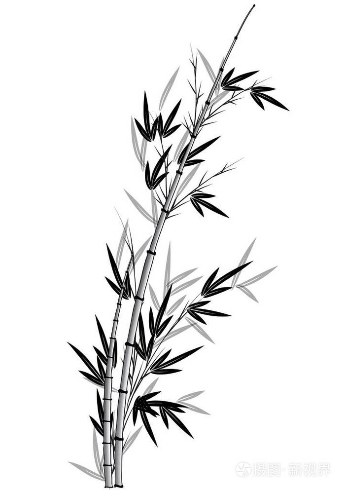 竹树矢量绘图