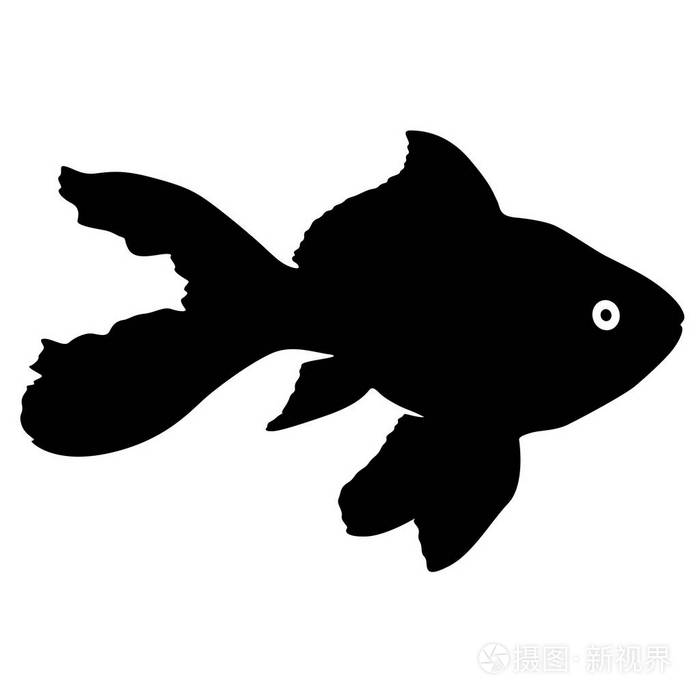 白色背景下水族鱼的黑色剪影