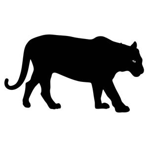 老虎的黑色剪影图片