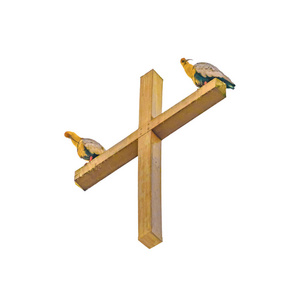 十字架教堂顶部的鸟类孤立的照片
