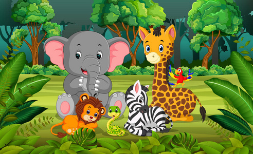 森林里的动物图片