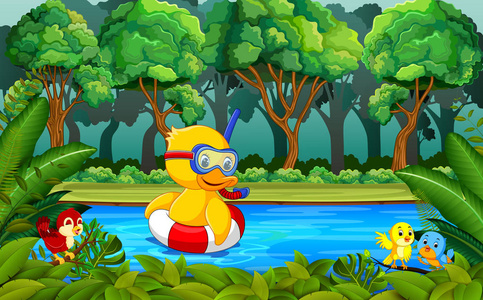 孩子正在湖塘沙滩上休息和游泳小鸭子在湖上捉苍蝇四只灰鹅 (anser